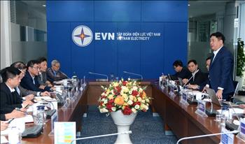 EVN tiếp tục hợp tác chặt chẽ với VUSTA và VEEA trong các hoạt động