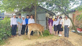Công ty Điện lực Phú Yên tặng 22 con bê giống giúp hộ phụ nữ thoát nghèo