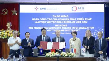 Tập đoàn Điện lực Việt Nam làm việc với Cơ quan Phát triển Pháp 