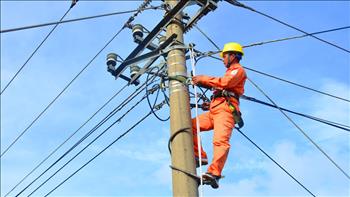 Công ty Điện lực Thanh Hóa thiệt hại trên 13 tỷ đồng do bão số 2