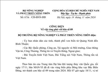 Công điện số 8736 của Bộ Nông nghiệp và Phát triển nông thôn về việc ứng phó với bão số 9