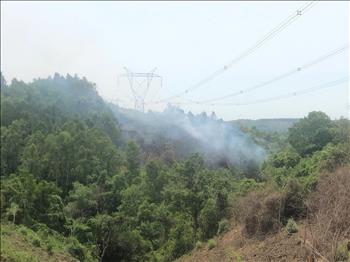 Cháy rừng tiếp tục đe dọa hệ thống truyền tải điện tại miền Trung