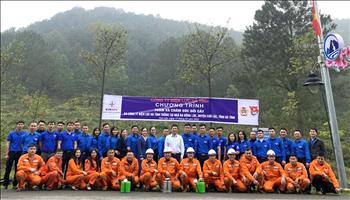 PC Hà Tĩnh tổ chức các hoạt động trồng, chăm sóc cây xanh