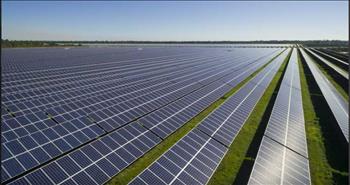 IEA kêu gọi các nước tăng tốc triển khai năng lượng tái tạo