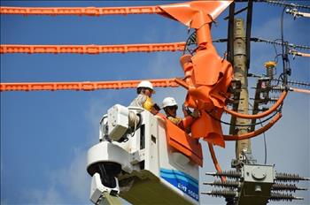 PC Đắk Nông đẩy mạnh áp dụng công nghệ trong sửa chữa lưới điện