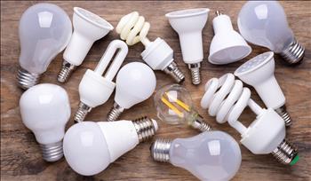 Mỹ triển khai chương trình cải tiến hiệu suất tối thiểu cho bóng đèn thông thường