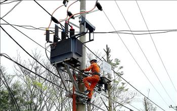 Tăng cường đảm bảo an toàn hành lang lưới điện