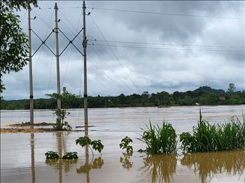 Công điện của EVN về việc chủ động ứng phó, khắc phục hậu quả mưa lũ, ngập lụt