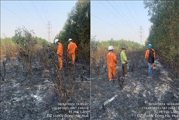 Cháy rừng tại Hải Lăng, Quảng Trị: Điện lực kịp thời tham gia dập tắt đám cháy