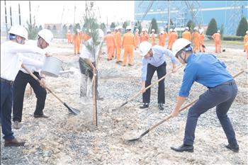 Nhà máy Nhiệt điện Vĩnh Tân 4 phát động trồng cây năm 2024