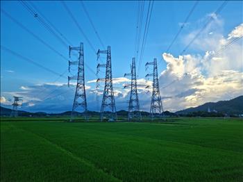 Thường trực Chính phủ đồng ý thu tiền thuê đất của hệ thống đường dây truyền tải điện