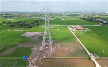 Cơ bản hoàn thành dựng cột Dự án đường dây 500kV mạch 3 cung đoạn NMNĐ Nam Định I – Thanh Hóa