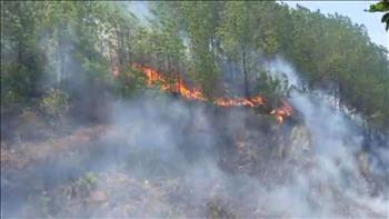 Hà Tĩnh lại cháy rừng gây ảnh hưởng đến việc cung cấp điện