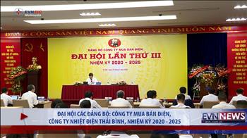 Đại hội các Đảng bộ: Công ty Mua bán điện, Công ty Nhiệt điện Thái Bình, nhiệm kỳ 2020-2025