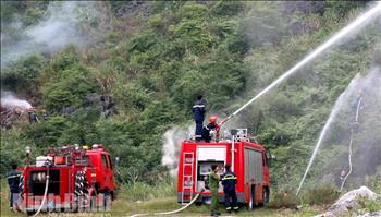 Công điện về việc tăng cường các biện pháp cấp bách phòng cháy, chữa cháy rừng