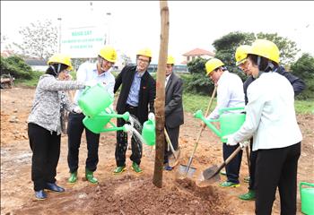 Tập đoàn Điện lực Việt Nam trồng cây xanh tại Khu di tích Quốc gia đặc biệt Tân Trào