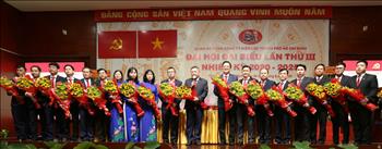 EVNHCMC đóng góp tích cực cho chỉ tiêu tăng trưởng GRDP của Thành phố Hồ Chí Minh