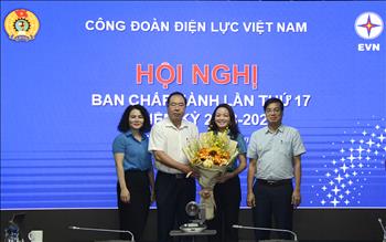 Bầu bổ sung 01 Phó Chủ tịch Công đoàn Điện lực Việt Nam nhiệm kỳ 2018 - 2023