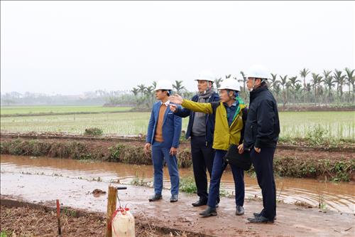 Cần tăng tốc xây dựng đường dây 500kV NMNĐ Nam Định 1 - Phố Nối