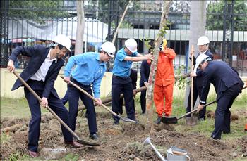 Công đoàn Điện lực Việt Nam phát động Tết trồng cây tại Nhà máy Nhiệt điện Uông Bí 