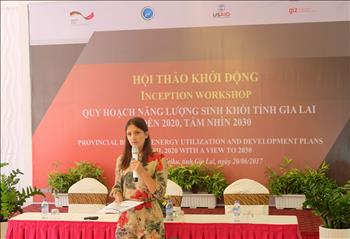 Khởi động Quy hoạch Năng lượng Sinh khối tại tỉnh An Giang