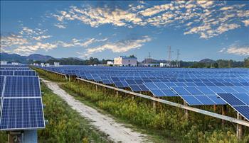 EVN kiến nghị Bộ Công Thương gỡ khó cho các dự án điện mặt trời