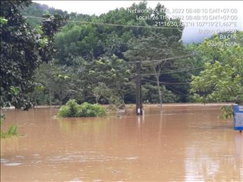 Công ty Điện lực Quảng Ninh khẩn trương khắc phục sự cố do ảnh hưởng bão số 3