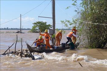Chùm ảnh: Thợ điện Đồng Tháp chèo thuyền "canh" điện trên nước lũ