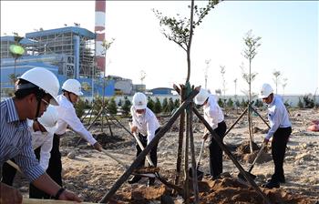 Tổng công ty Phát điện 3 hưởng ứng phong trào Tết trồng cây 2021