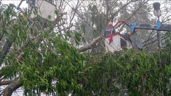 Ảnh hưởng bão số 9: EVNHCMC chủ động cắt điện khu vực ngập để đảm bảo an toàn cho nhân dân