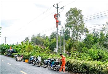 Cà Mau: Nhiều giải pháp đảm bảo an toàn điện mùa mưa bão