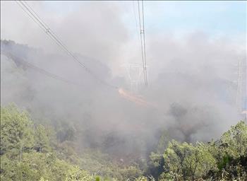 Cháy rừng lớn tại Thừa Thiên Huế ảnh hưởng đến hệ thống điện 500 kV Bắc – Nam
