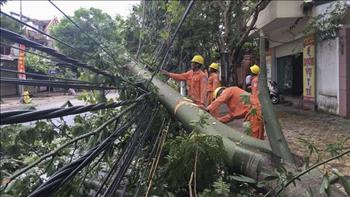 Lưới điện phân phối tại các tỉnh tâm bão số 2 bị ảnh hưởng nặng