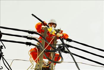 EVNHANOI triển khai thi công gần 40 công trình cải tạo, nâng cấp lưới điện