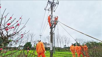 Đầu Xuân Nhâm Dần, đồng loạt ra quân thi công gần 40 công trình đảm bảo cấp điện cho Hà Nội