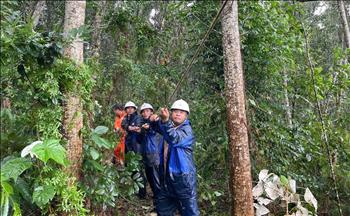 Thông tin cập nhật lúc 08h ngày 10/9/2024 về ảnh hưởng của cơn bão số 3 (Yagi) đến vận hành và cung cấp điện