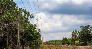 An toàn lưới điện cao áp tại Bình Phước: Vi phạm vẫn chưa có hồi kết!