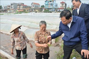 Bộ trưởng Nguyễn Xuân Cường kiểm tra công tác lấy nước đổ ải tại Hà Nam