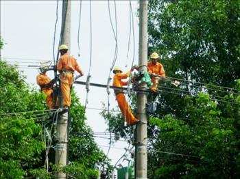 Điện lực Quảng Nam đồng hành xây dựng nông thôn mới
