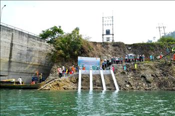 Công ty Thủy điện Sông Bung thả cá giống phát triển nguồn lợi thủy sản