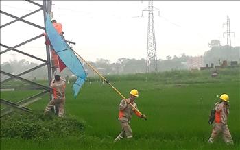 Thái Nguyên: Xử lý nghiêm hành vi thả diều mắc lưới điện quốc gia