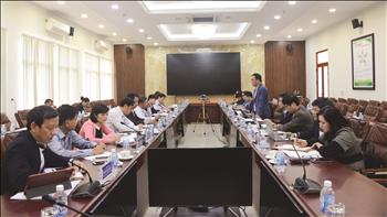 Đảng bộ EVNNPT triển khai 4 đợt tuyên truyền cao điểm tiến tới Đại hội Đại biểu Đảng bộ Tập đoàn Điện lực Việt Nam lần thứ III