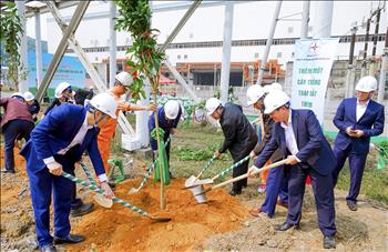 Công đoàn Điện lực Việt Nam phát động Tết trồng cây tại Công ty Cổ phần Nhiệt điện Quảng Ninh