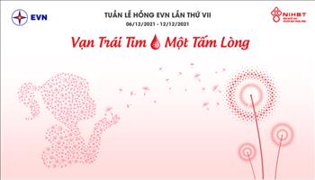 Qua 6 năm tổ chức Tuần lễ hồng EVN, đóng góp hơn 54.400 đơn vị máu cứu chữa người bệnh